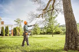 Best Tree Trimming and Pruning  in Sun Village, CA